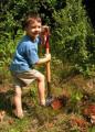 Billion Tree Campaign