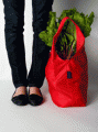 Baggu