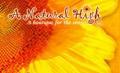 A Natural High