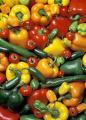 Taste Life!: The Organic Choice